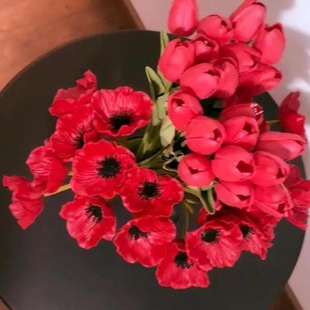 דירה Myaslovelyluckycharm נאפולי