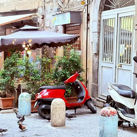 Myaslovelyluckycharm דירה *