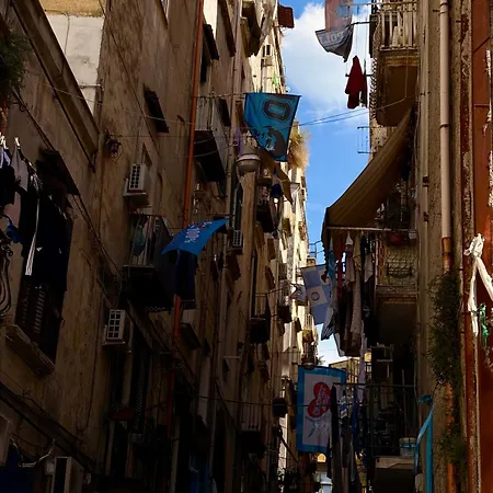 Myaslovelyluckycharm *